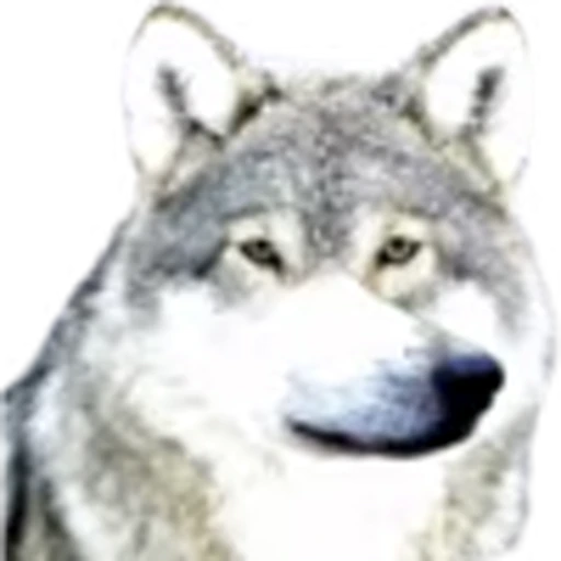 🐺 Эмодзи «random emojipack» для Telegram