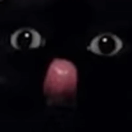 👅 Эмодзи «random emojipack» для Telegram