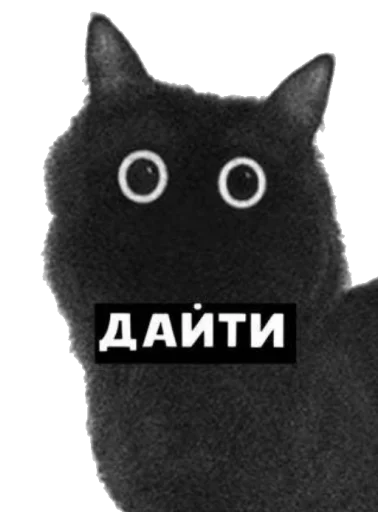 🥺 Стикер «Kofi» для Telegram