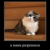 ❓ Эмодзи «» для Telegram