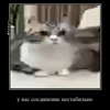 🤩 Эмодзи «» для Telegram