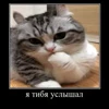 🤩 Эмодзи «» для Telegram