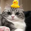 😳 Эмодзи «» для Telegram