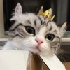 🤩 Эмодзи «» для Telegram