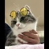 🐈 Эмодзи «» для Telegram