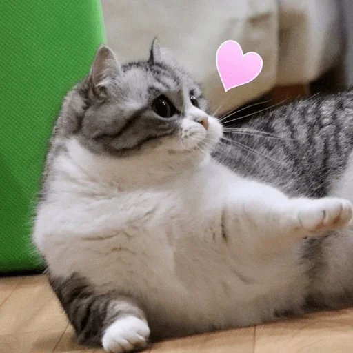 ❤️ Стикер «Komaru» для Telegram