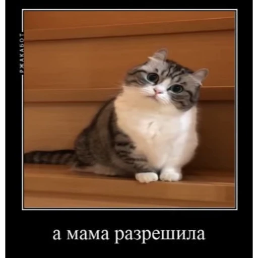 🤿 Стикер «KomaruBest» для Telegram