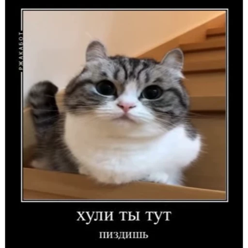 Стикерпак KomaruBest для Telegram — скачать