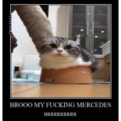 🤿 Стикер «KomaruBest» для Telegram