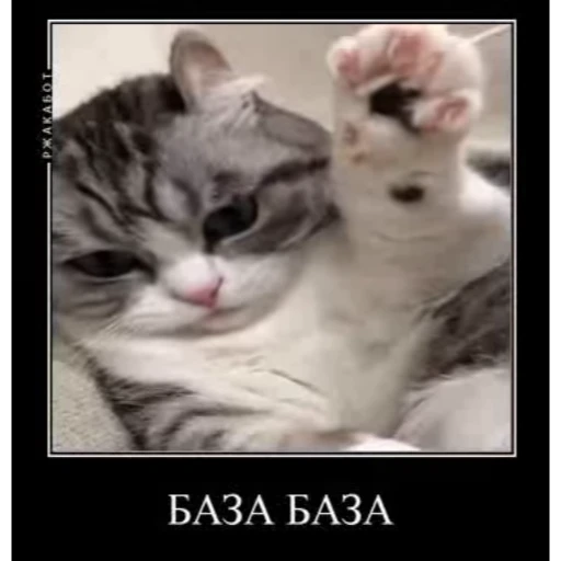 🤿 Стикер «KomaruBest» для Telegram