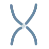 🅰️ Эмодзи «Лиза и Таро» для Telegram