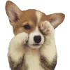 🤩 Эмодзи «Корги» для Telegram