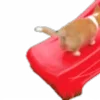🐶 Эмодзи «Корги» для Telegram