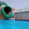 🐶 Эмодзи «Корги» для Telegram