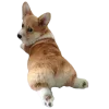 🤩 Эмодзи «Корги» для Telegram