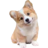 🐕 Эмодзи «Корги» для Telegram