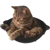 🐱 Эмодзи «Коричневые Эмоджи Tg» для Telegram