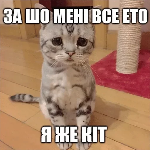 🤗 Стикер «Коробка для Долбоебов» для Telegram