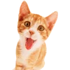🍧 Эмодзи «Кошки» для Telegram