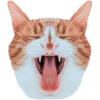 🐱 Эмодзи «Кошки» для Telegram