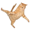 😄 Эмодзи «Кошки» для Telegram