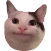🤣 Эмодзи «Кошки» для Telegram