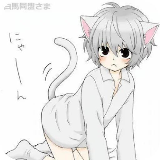 ✋ Стикер «Кошкомальчики» для Telegram