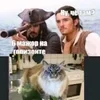🍉 Эмодзи «Кіт На Гарбузі» для Telegram