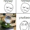 🍉 Эмодзи «Кіт На Гарбузі» для Telegram