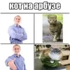 🍉 Эмодзи «Кіт На Гарбузі» для Telegram
