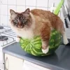 🍉 Эмодзи «Кіт На Гарбузі» для Telegram