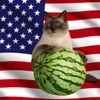 🍉 Эмодзи «Кіт На Гарбузі» для Telegram