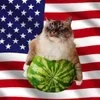 🍉 Эмодзи «Кіт На Гарбузі» для Telegram