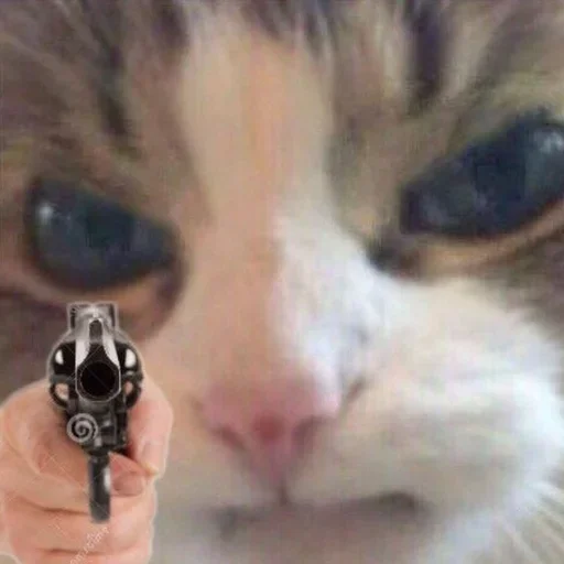 🔫 Стикер «Котыки» для Telegram