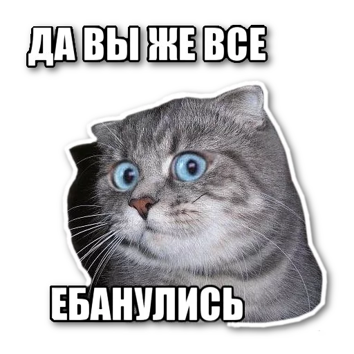 котэпак