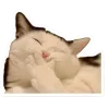 🤩 Эмодзи «Котеки Tg» для Telegram