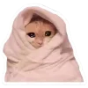 🤩 Эмодзи «Котеки Tg» для Telegram
