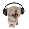 🤩 Эмодзи «Котеки Tg» для Telegram