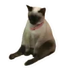 🤩 Эмодзи «Котеки Tg» для Telegram