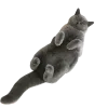 🤩 Эмодзи «Котеки Tg» для Telegram