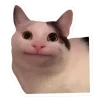 🤩 Эмодзи «Котеки Tg» для Telegram