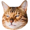 🤩 Эмодзи «Котеки Tg» для Telegram