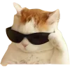 🤩 Эмодзи «Котеки Tg» для Telegram