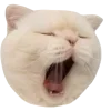 🤩 Эмодзи «Котеки Tg» для Telegram