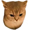 🤩 Эмодзи «Котеки Tg» для Telegram