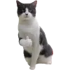 🤩 Эмодзи «Котеки Tg» для Telegram