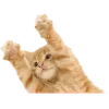 🤩 Эмодзи «Котеки Tg» для Telegram
