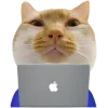 🤩 Эмодзи «Котеки Tg» для Telegram