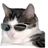 🤩 Эмодзи «Котеки Tg» для Telegram