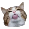 🤩 Эмодзи «Котеки Tg» для Telegram